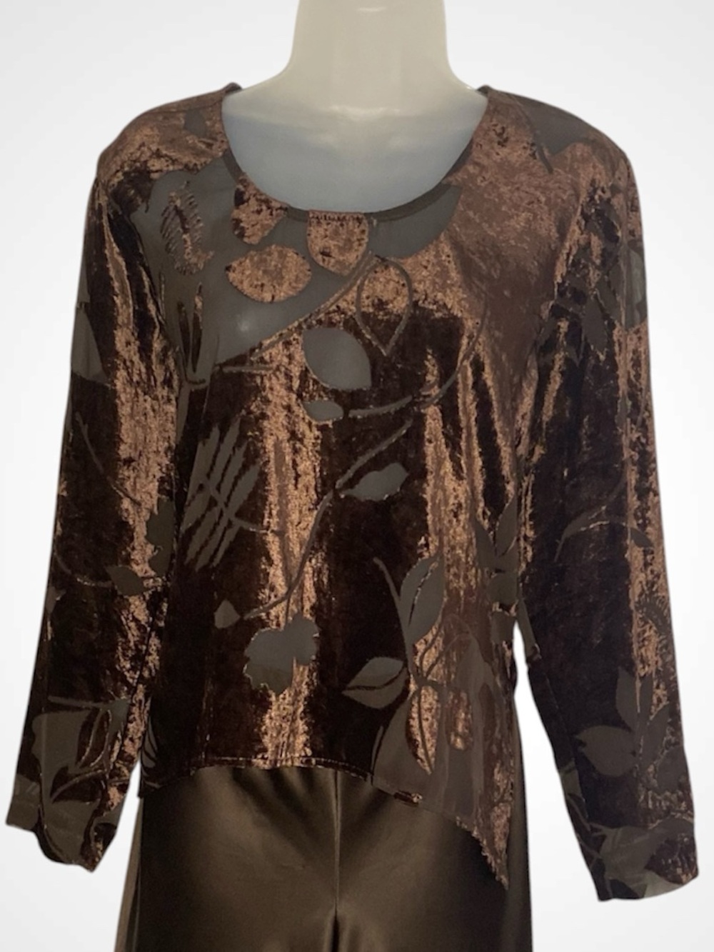 Vintage Brown Velvet Floral Burnout Long-Sleeve Blouse